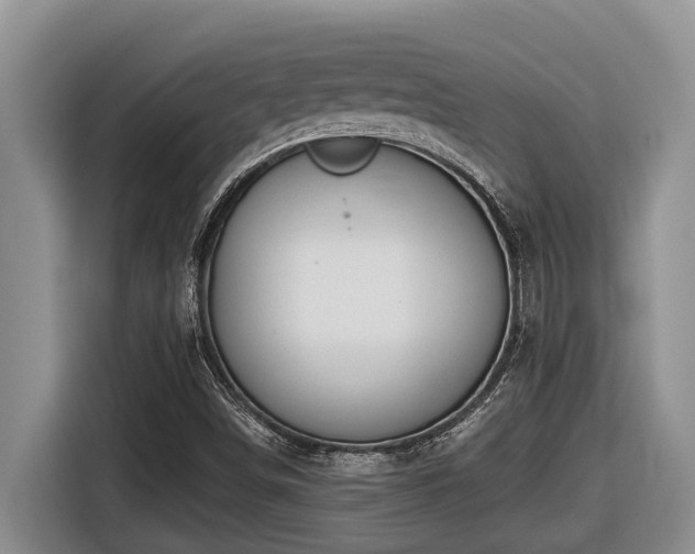 X0000116671498200912141330
