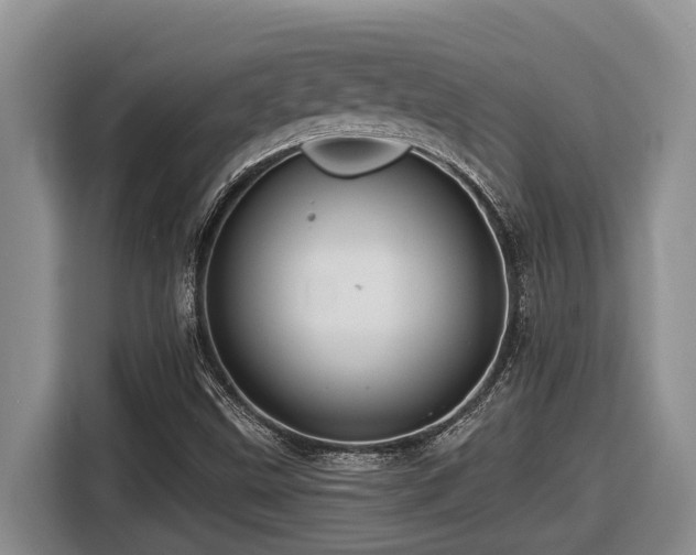 X0000116671499200912141330