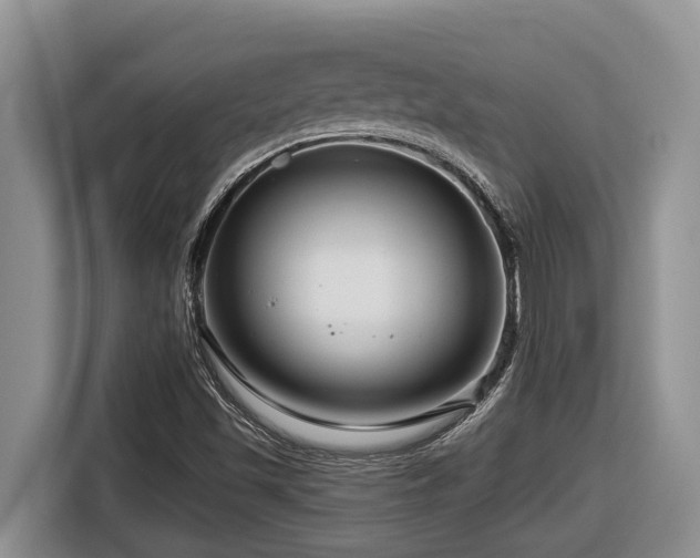 X0000116671501200912141330