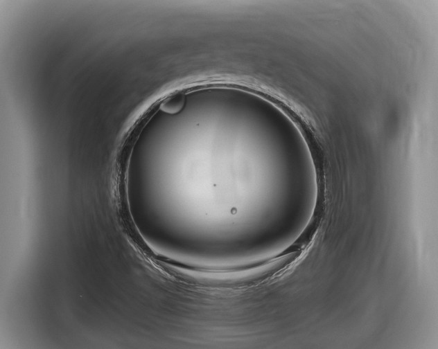 X0000116671502200912141330