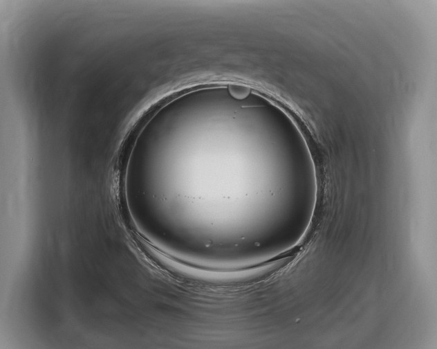 X0000116671503200912141330