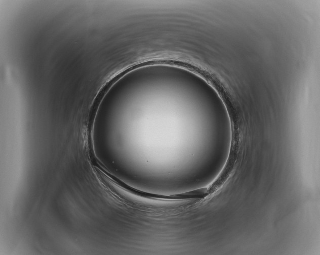 X0000116671505200912141330