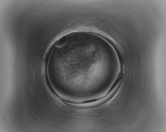 X0000116671506200912141330
