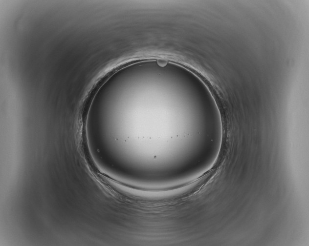 X0000116671507200912141330