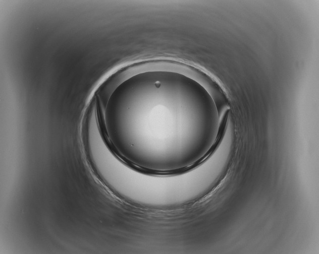 X0000116671510200912141330