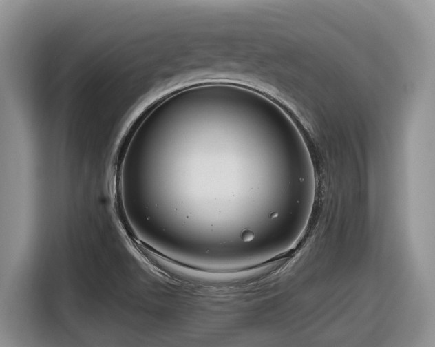 X0000116671511200912141330