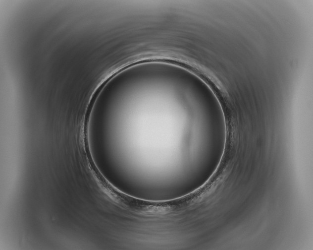 X0000116671513200912141330