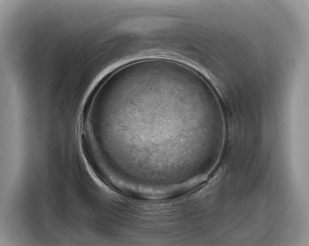 X0000116671515200912141330