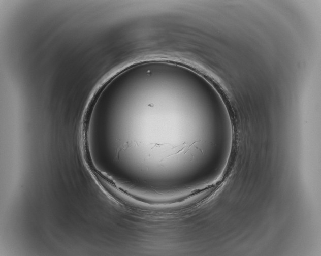 X0000116671517200912141330