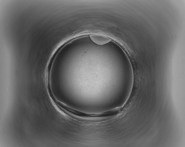 X0000116671519200912141330