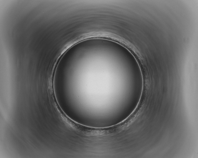 X0000116671521200912141330
