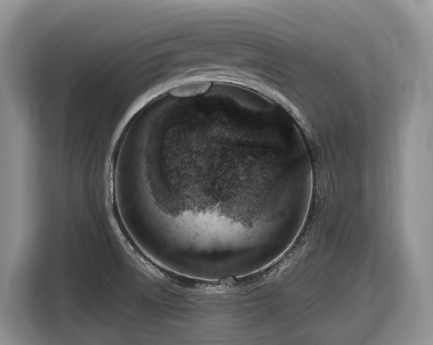 X0000116671522200912141330