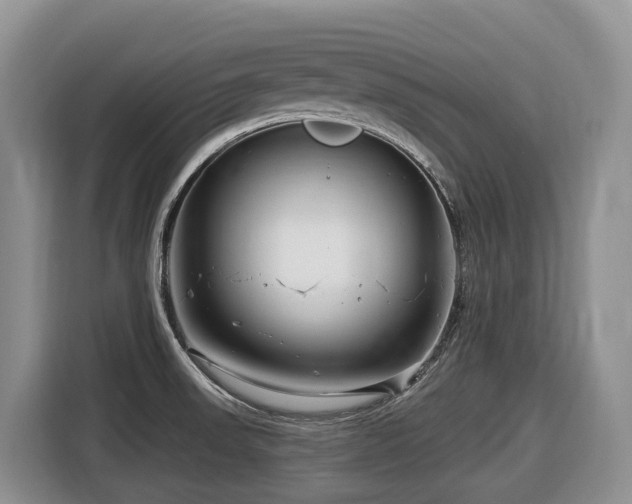 X0000116671523200912141330