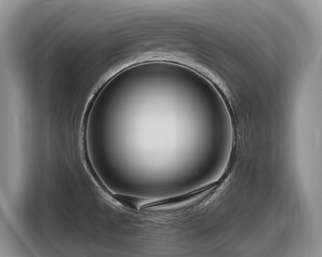 X0000116671525200912141330
