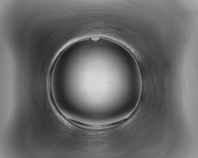 X0000116671526200912141330