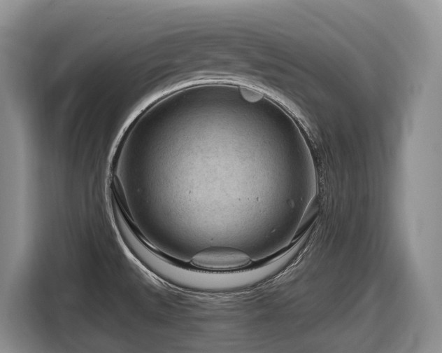 X0000116671527200912141330