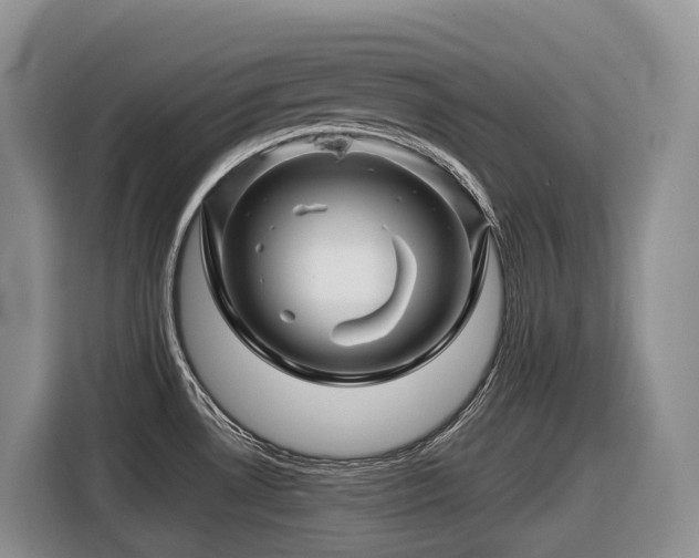 X0000116671530200912141330