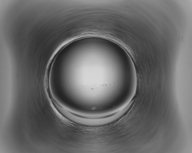 X0000116671531200912141330