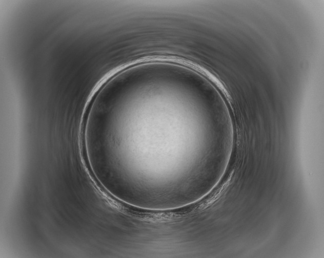 X0000116671533200912141330