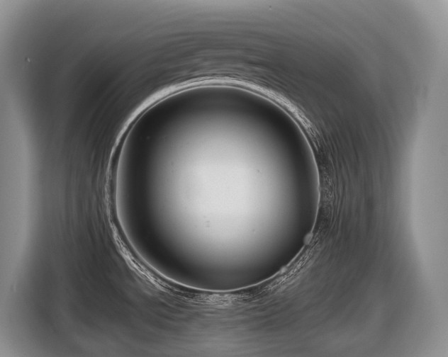 X0000116671534200912141330