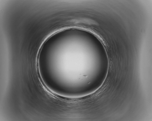 X0000116671535200912141330