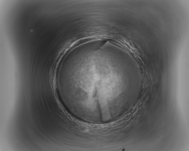 X0000116670002200912211613