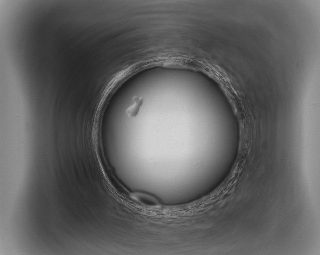 X0000116670003200912211613