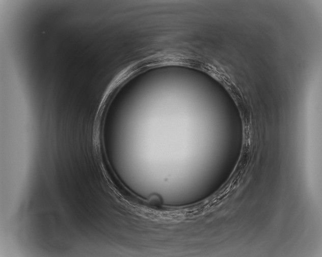 X0000116670004200912211613