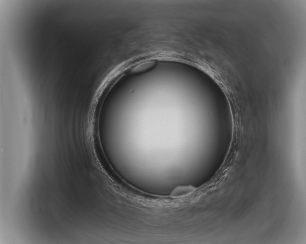 X0000116670007200912211613