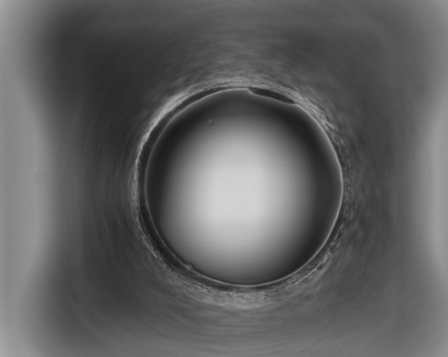 X0000116670008200912211613