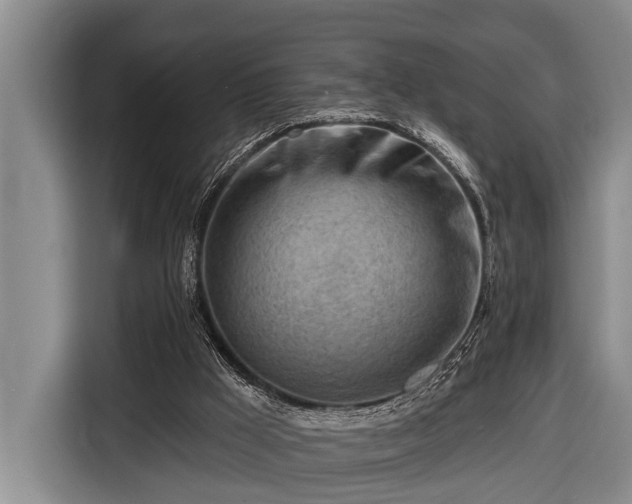 X0000116670009200912211613