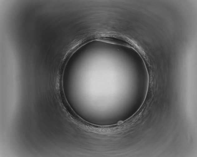 X0000116670010200912211613