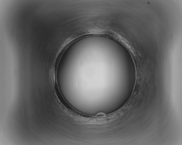 X0000116670011200912211613