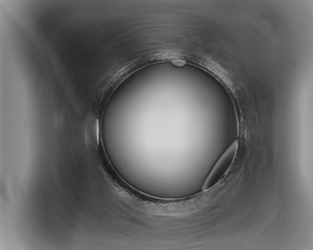 X0000116670013200912211613