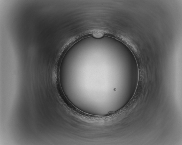 X0000116670015200912211612