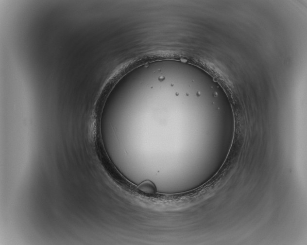 X0000116670016200912211612