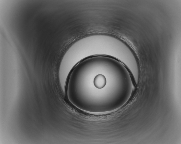 X0000116670017200912211612