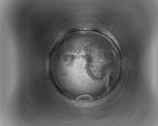 X0000116670018200912211612