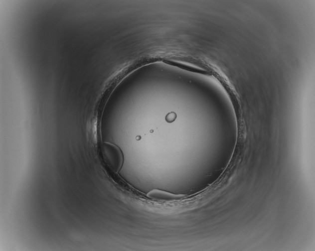 X0000116670019200912211612