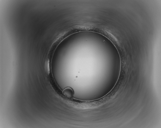 X0000116670020200912211612