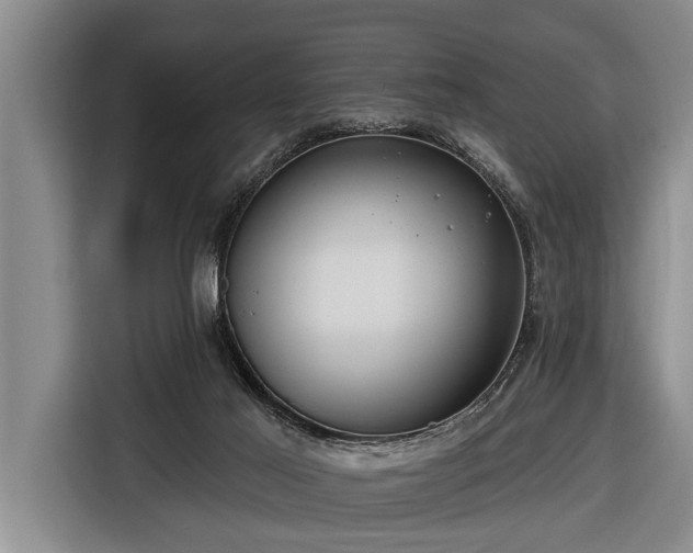 X0000116670021200912211612