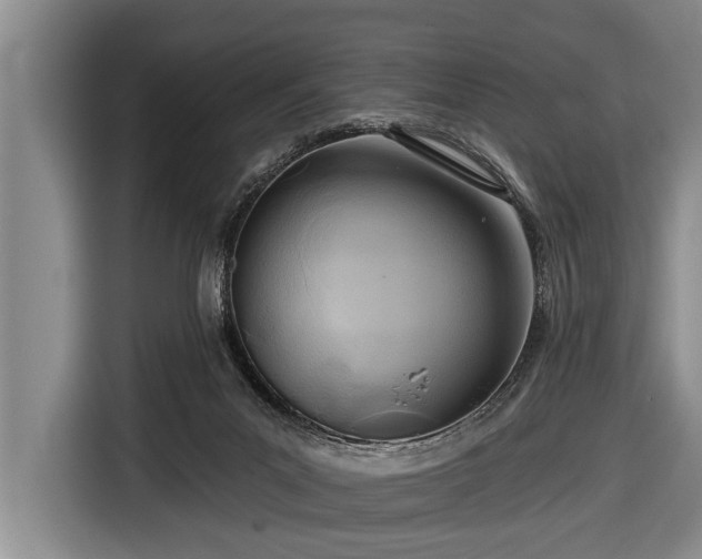 X0000116670023200912211612