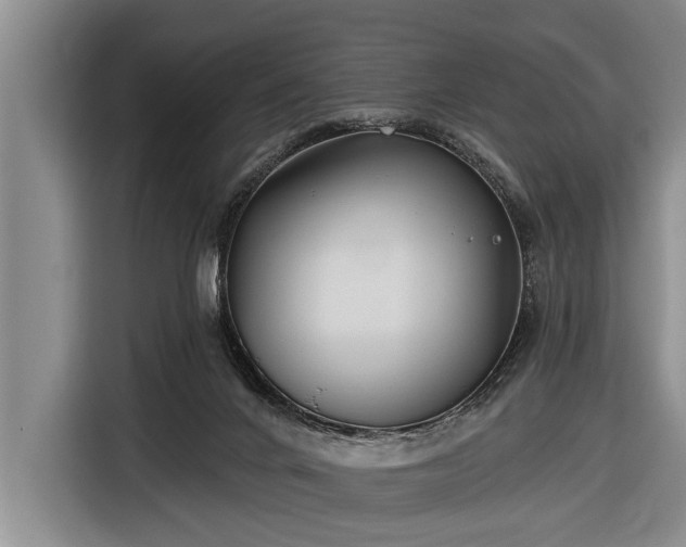 X0000116670024200912211612