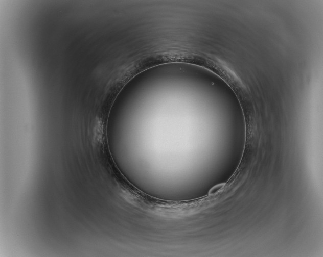 X0000116670025200912211612