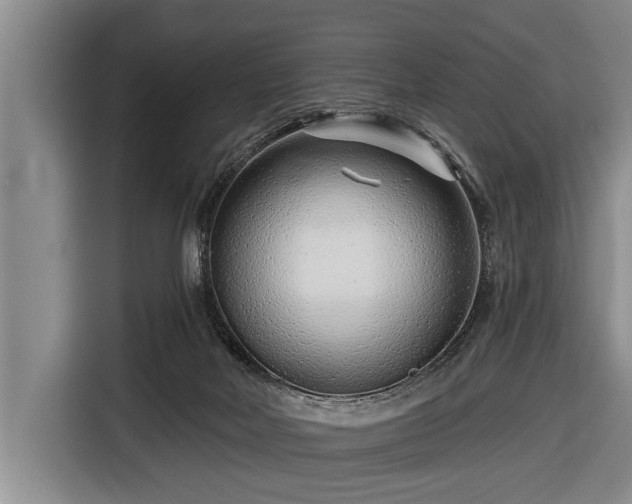 X0000116670026200912211612