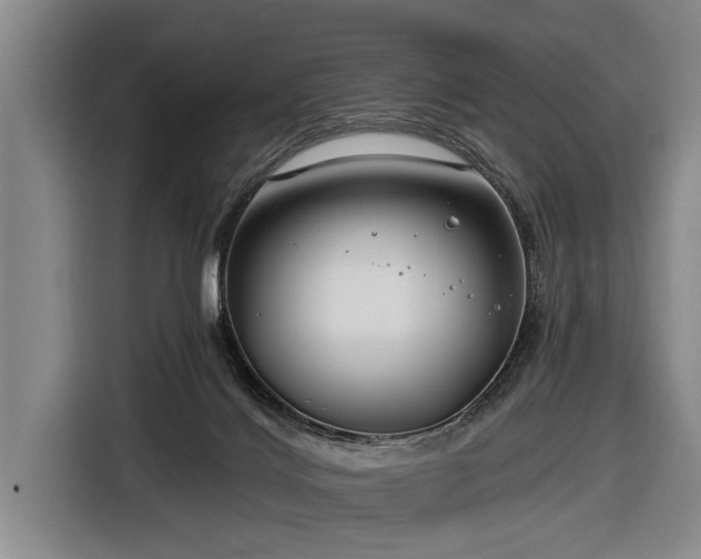 X0000116670028200912211612