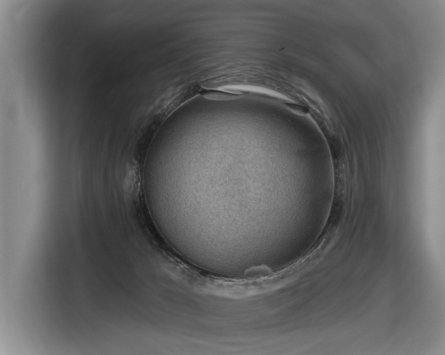 X0000116670029200912211612