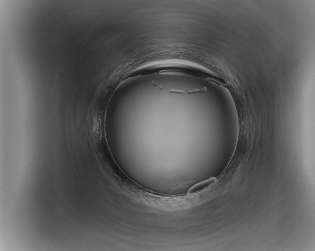 X0000116670031200912211612