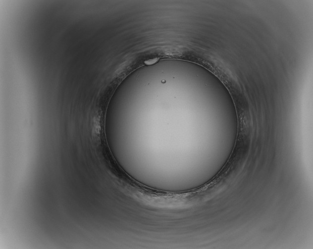 X0000116670032200912211612