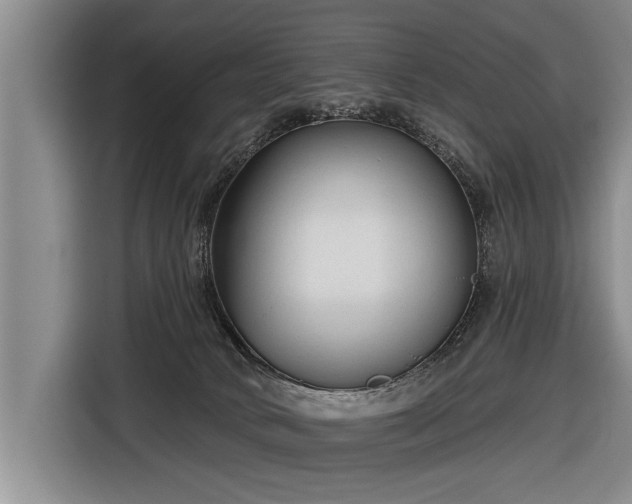 X0000116670034200912211612